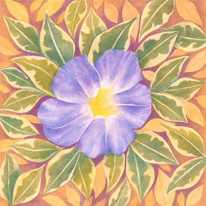 Violet